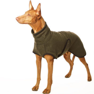 Hugo Exclusive - schicker Wollmantel, SOFA Dog Wear, ausverkauft