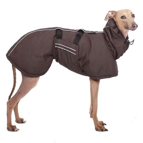 Fristenski MINI SOFA Dog Wear, XS1 - S1 versch. Farben, für Windspiele, kl. Hunde bis Whippet-Welpe