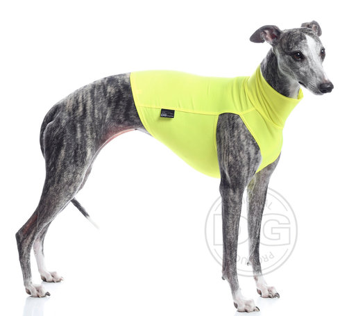 Safety Light Unterwäsche neon gelb DG Dog Gear, im Moment nur M1 bis L2
