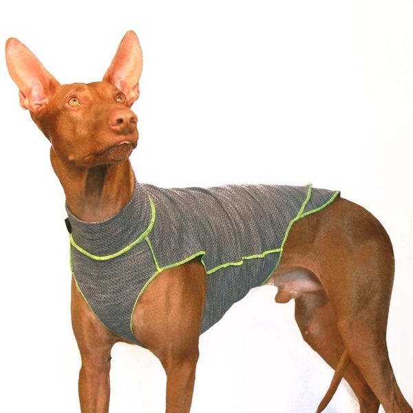 Quinto Unterziehshirt SOFA Dog Wear, XS1 - L2