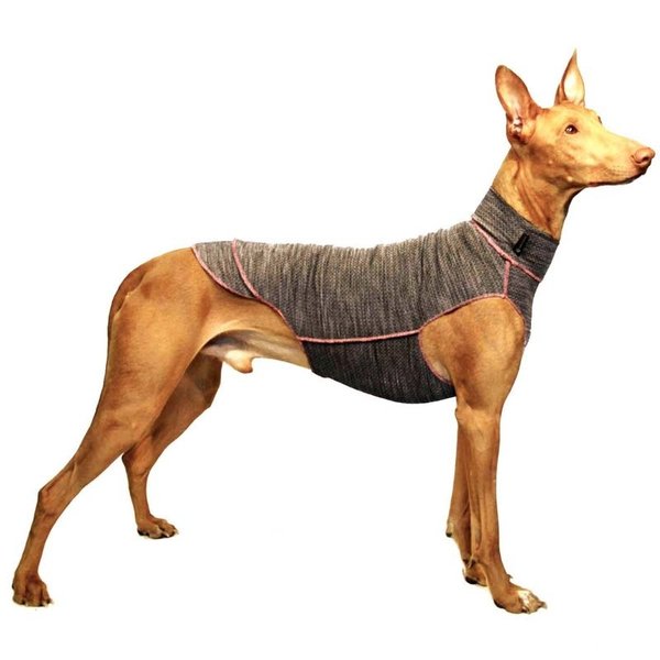Quinto Unterziehshirt SOFA Dog Wear, XS1 - L2