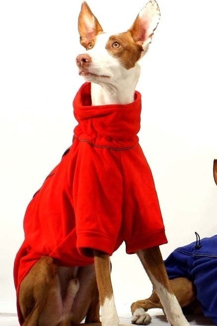 Marty Halb-Overall SOFA Dog Wear  ausverkauft, bis Neubestellungen möglich...
