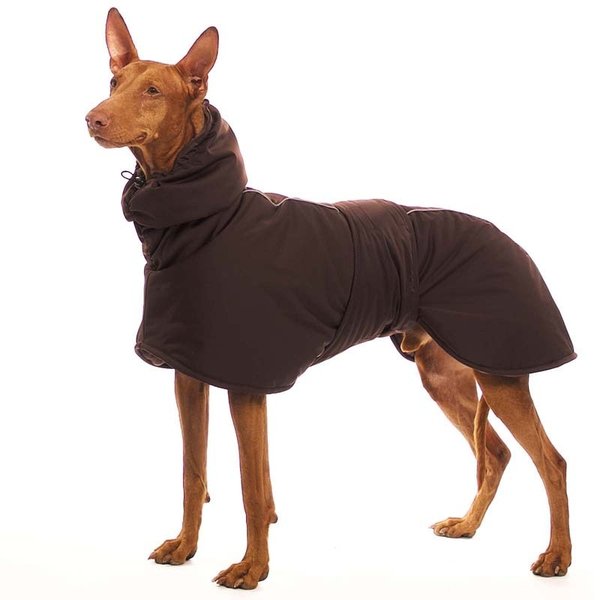 STING Elite SOFA Dog Wear, versch. Farben S2 - L2, Brustlatz