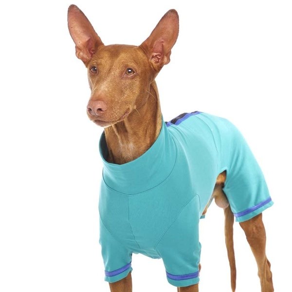 Oliver PLUS-Z SOFA Dog Wear, S2 - L2 verschiedene Farben
