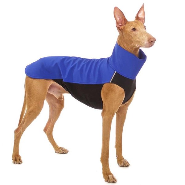 Hachico Vol. 2 Softshell Sport Jacke SOFA Dog Wear XS1 - L2, versch. Farben