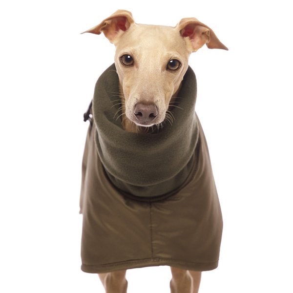 BONO Vol. 3 Wintermantel SOFA Dog Wear, XS1 - L2, Brustlatz