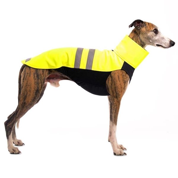 Hachico NEON SOFA Dog Wear - reduziert