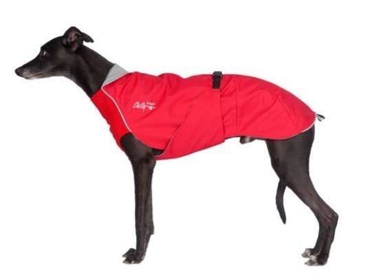 Harbour Slicker, Chilly Dogs, Regenmantel mit Brustlatz für Windhunde u. schlanke Rassen