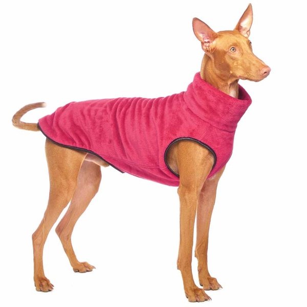 Hachico Citypunk Colours SOFA Dog Wear, S2 - L2, Farbe olive = Angebot