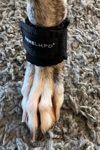 BENE LUPO® Krallenschutz-Bandage mit Fleece-Polster, schwarz, Windspiel bis Greyhound-Größen