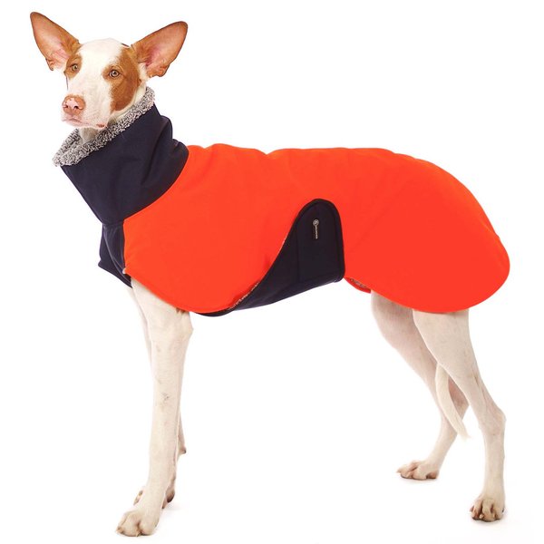 Hugo Neon, Brustlatz, SOFA Dog Wear    neon-orange / dunkelblau vorerst nur M1, M2, L1 + L2